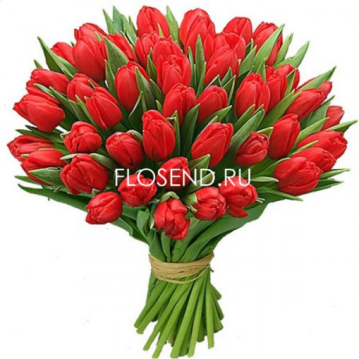 Букет «51 красный тюльпан»