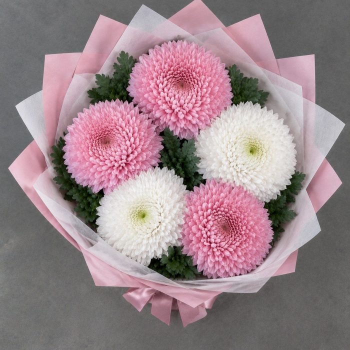 Розовые и белые хризантемы, фото 3